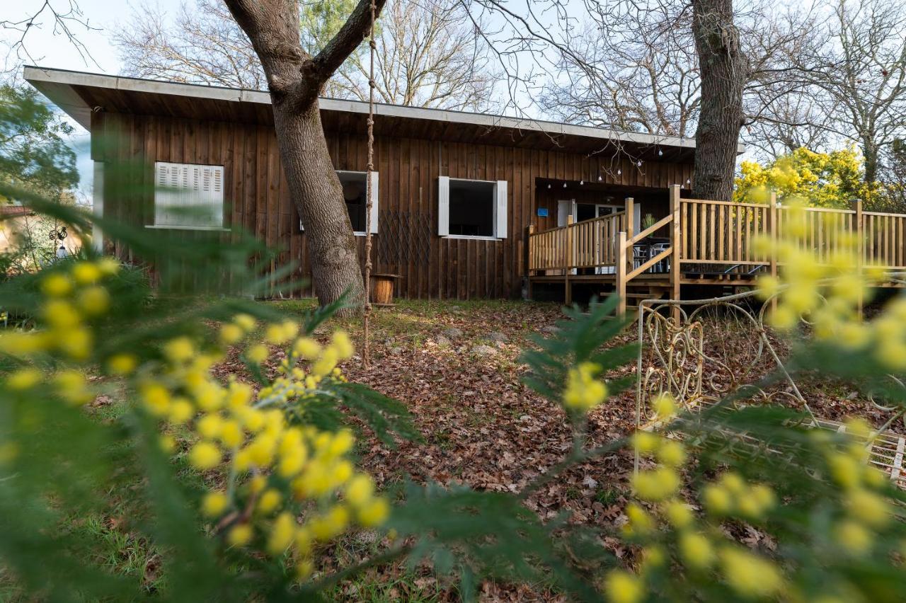 La Petite Maison Du Lac Biscarrosse Εξωτερικό φωτογραφία